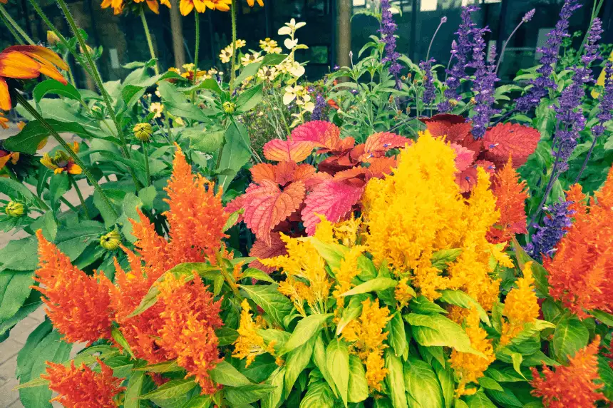 Outdoor Kitchens & Island Grills in Oakland County MI